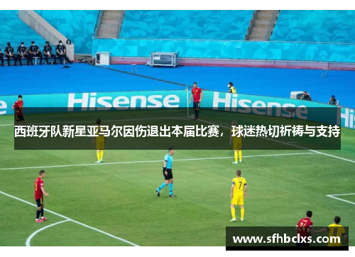 西班牙队新星亚马尔因伤退出本届比赛，球迷热切祈祷与支持