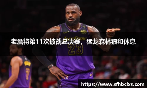 老詹将第11次披战总决赛，猛龙森林狼和休息