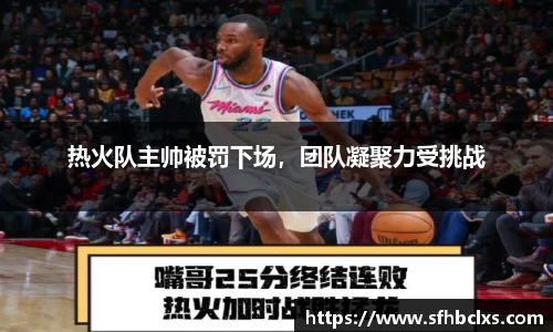 热火队主帅被罚下场，团队凝聚力受挑战