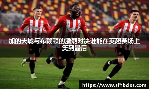 加的夫城与布赖顿的激烈对决谁能在英超赛场上笑到最后