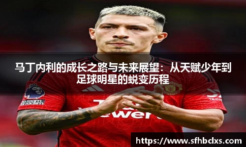 马丁内利的成长之路与未来展望：从天赋少年到足球明星的蜕变历程