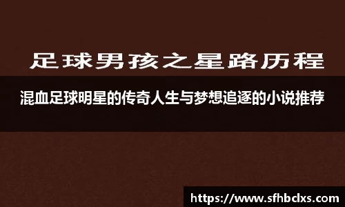 混血足球明星的传奇人生与梦想追逐的小说推荐